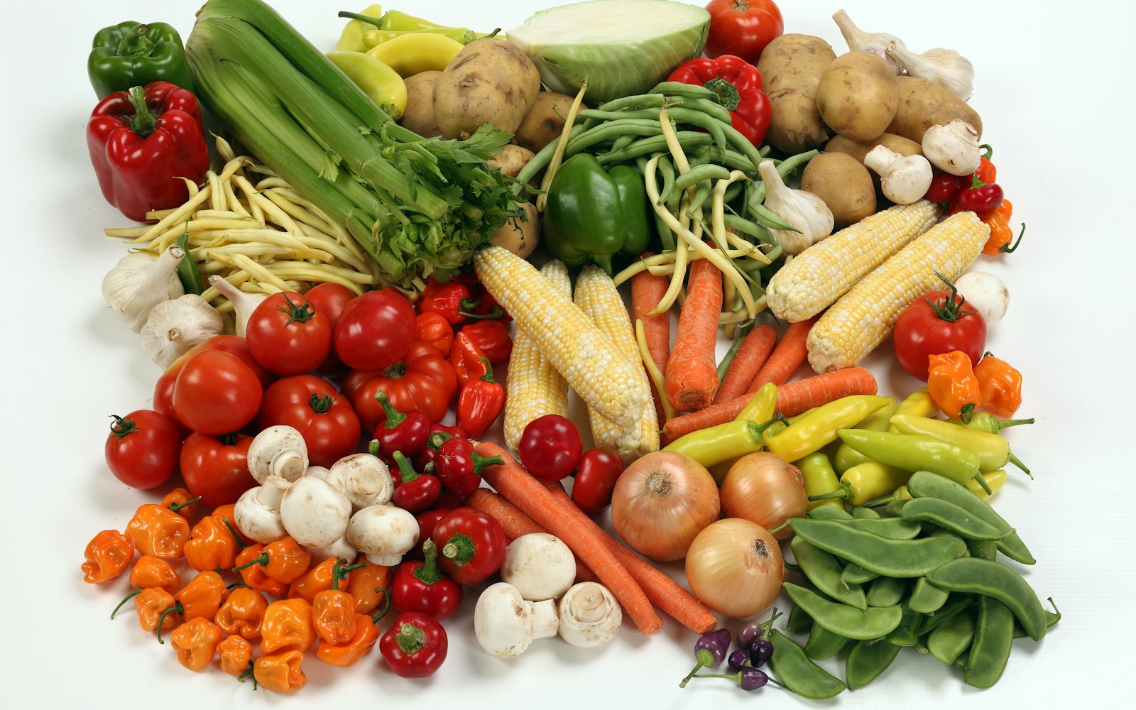 Assortment of colourful vegetables arranged on a white background