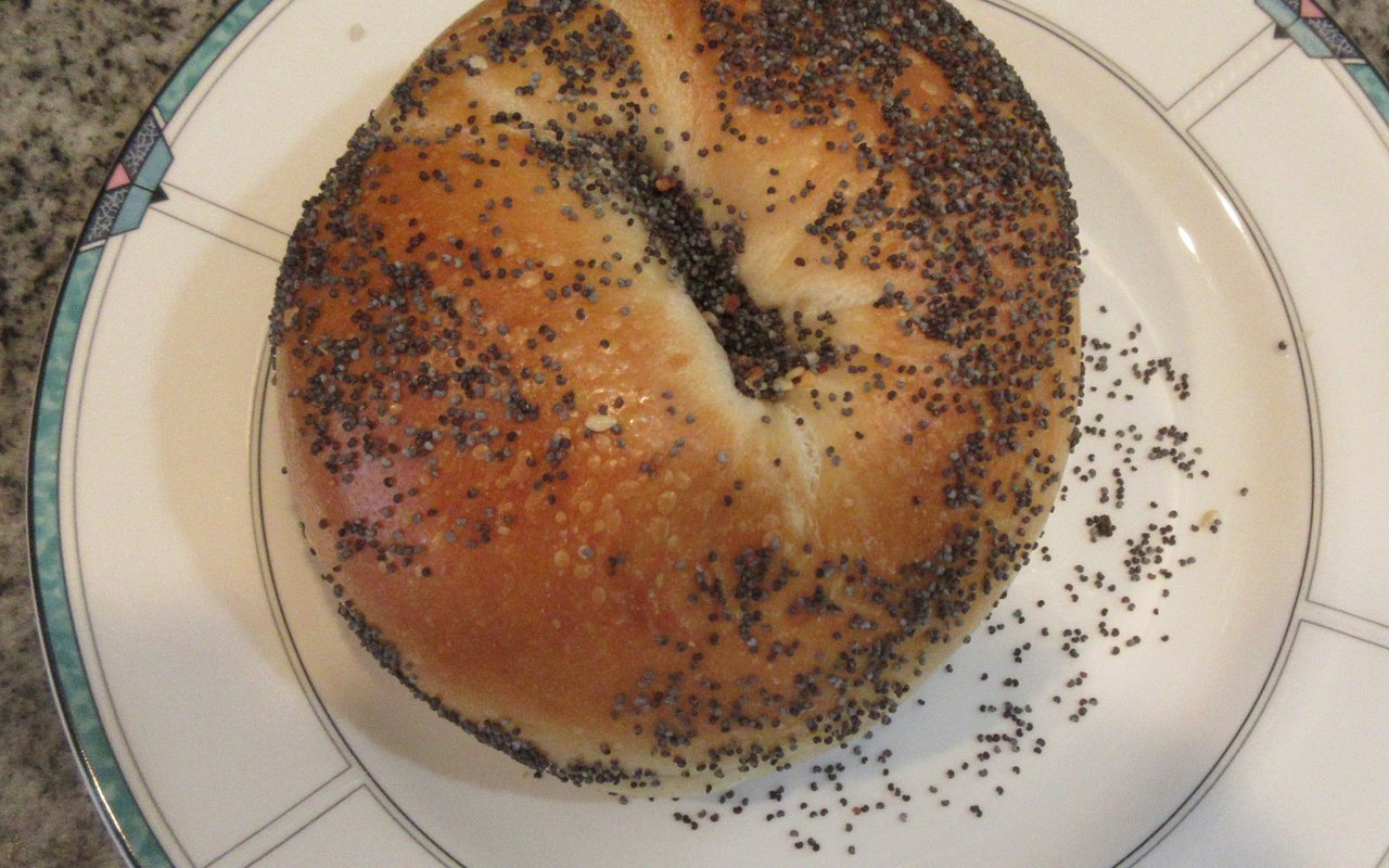 Ring-shaped bagels topped with sesame, poppy seeds, and oats