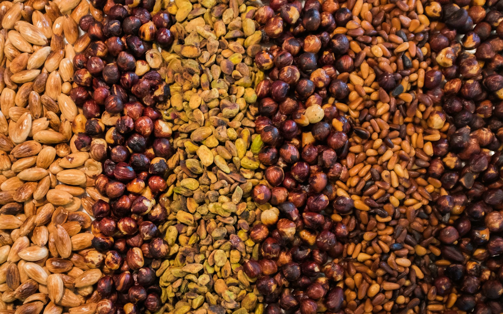 Rows of almonds, hazelnuts, pistachios, and pine nuts