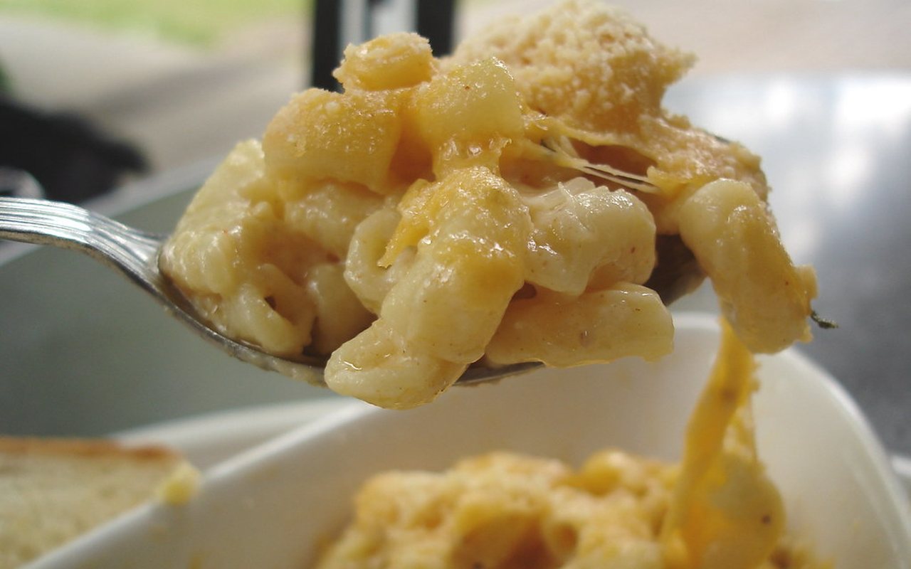 Baked macaroni covered with a browned layer of melted cheese