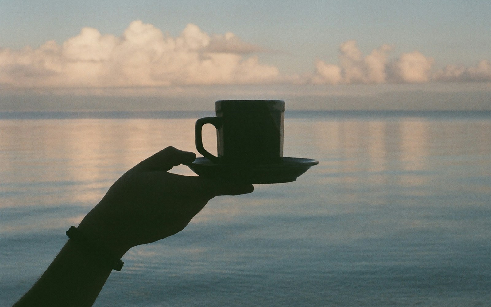 Silhouette of a hand holding a coffee cup beside calm water