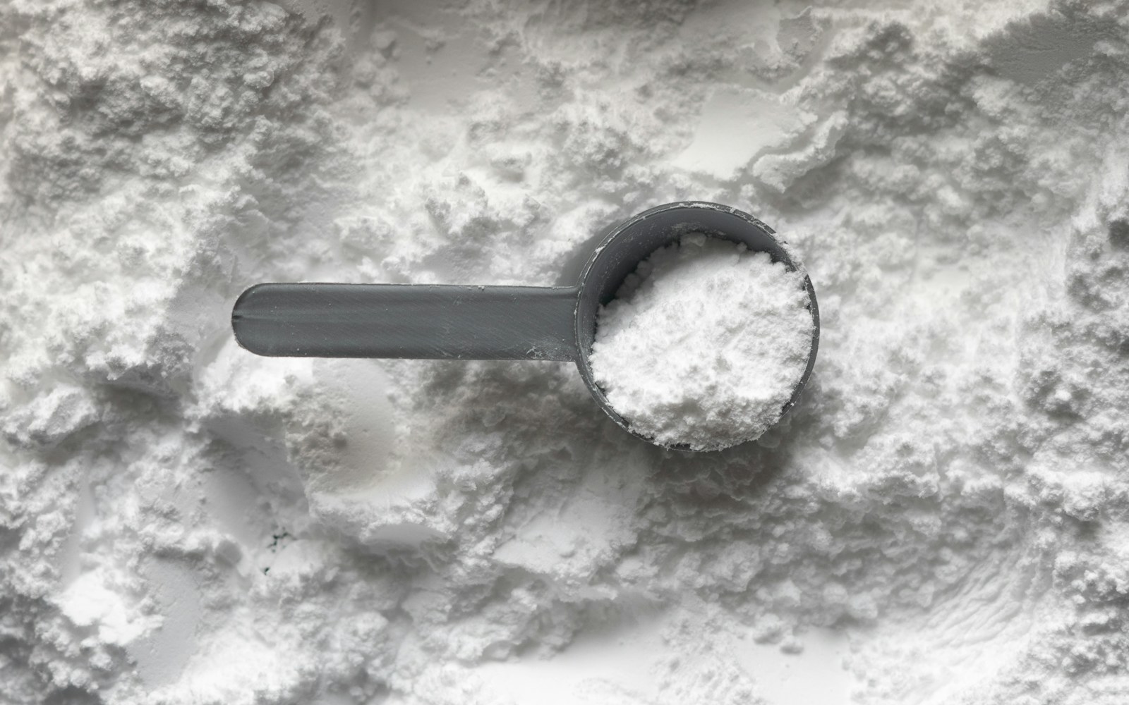 Scoop filled with white supplement powder