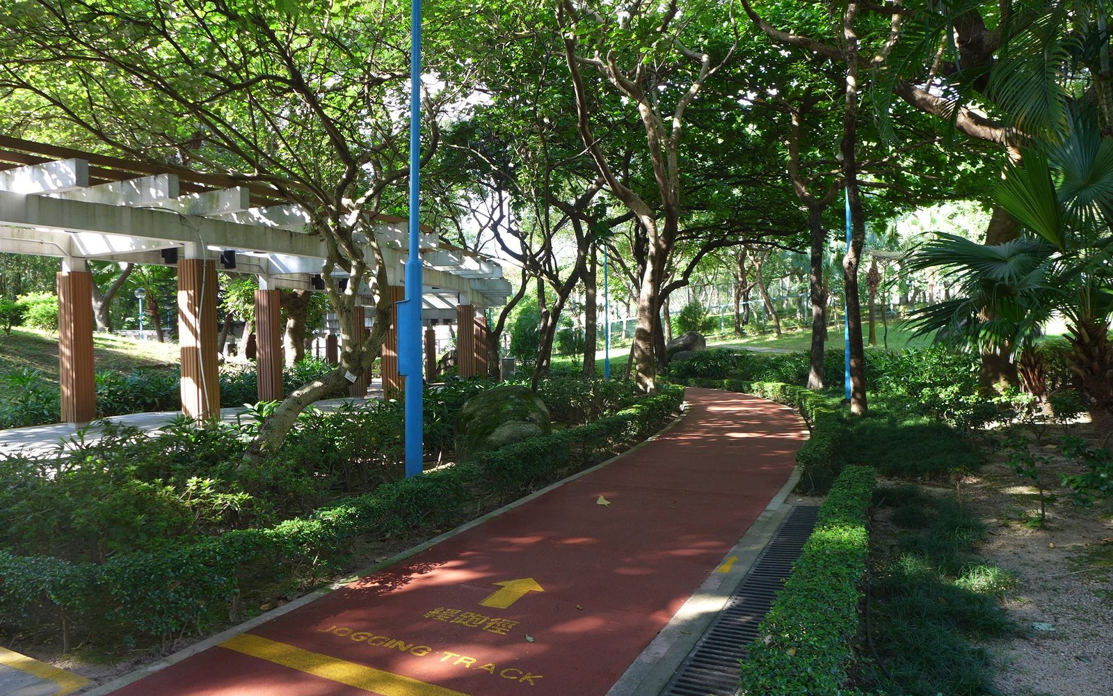 Empty red jogging track curves through a tree-filled park.