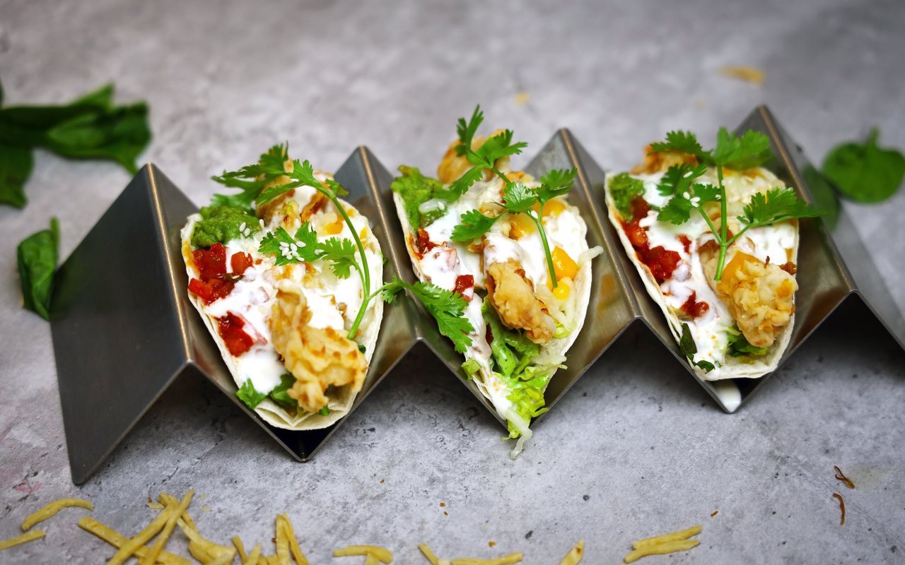 Three crispy cooked fish tacos with red salsa, corn, lettuce, creamy sauce, and cilantro